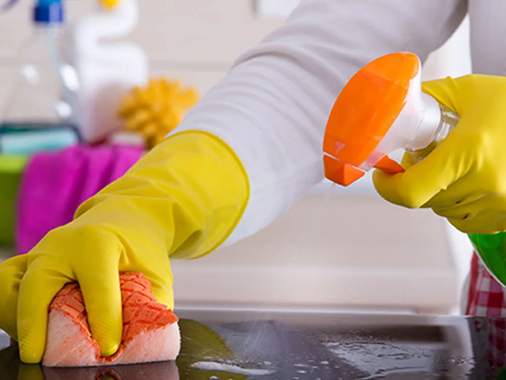 Servicii Curatenie Radauti